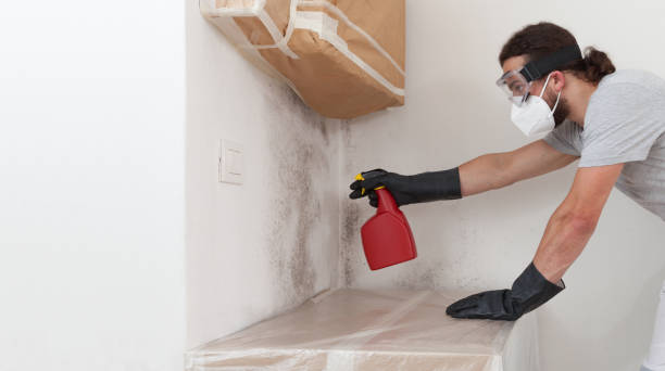 Professional Crawl Space Mold Removal technician working in Charlevoix, MI