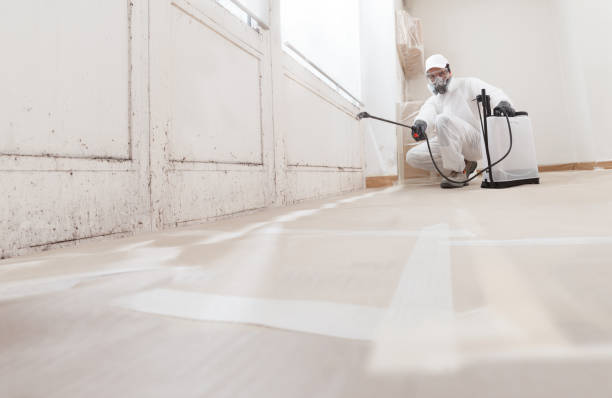 24/7 Emergency Crawl Space Mold Removal experts in Charlevoix, MI